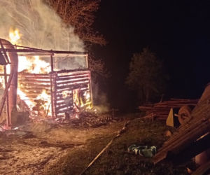 Straszny pożar w Łomnicy-Zdroju. Zginęły zwierzęta
