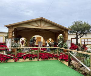 Boże Narodzenie na Maderze