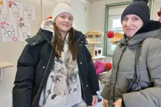 Mruczki w roli głównej. Dzień Kota w schronisku dla bezdomnych zwierząt w Henrykowie