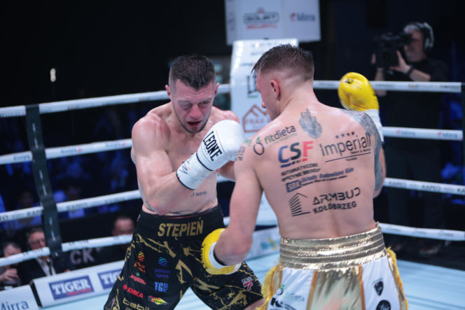 Kalinowski - Stępień