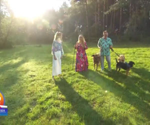 Piotr Pręgowski mieszka w wiejskim zaciszu. Tak wygląda jego wymarzony dom