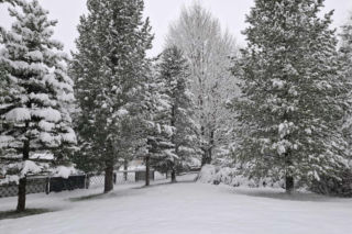 Atak zimy w Zakopanem