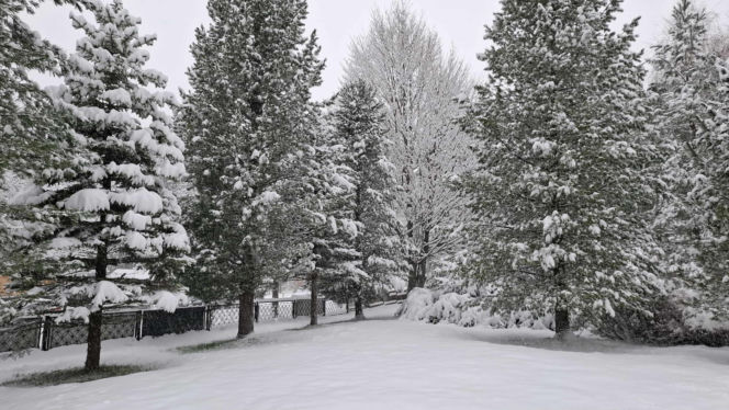 Atak zimy w Zakopanem