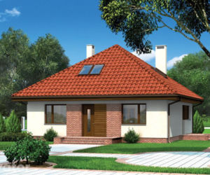 Projekt M155 Cichy zagajnik