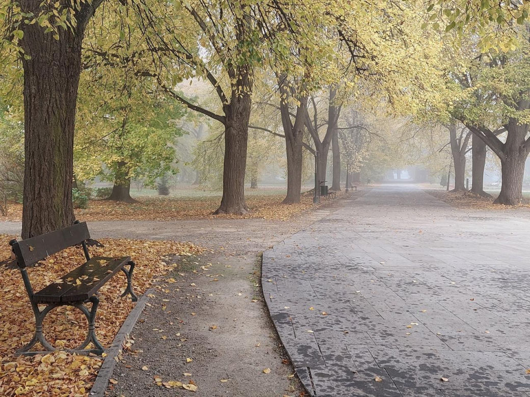 Zamojski Park jesienią