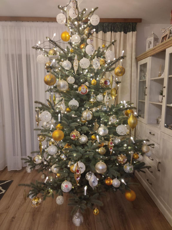 Choinki naszych Czytelników. Taki klimat tylko w woj. lubelskim!