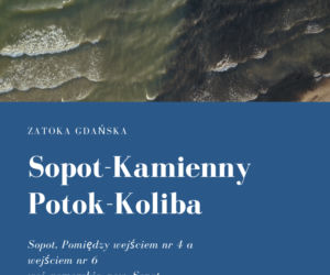 Sinice w Bałtyku 2021. Te kąpieliska są zamknięte. Woda ma kolor zielony!