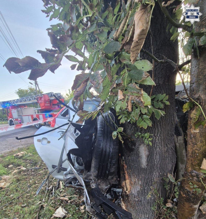 Kia zmiażdżona, kierowca nie żyje. Koszmarny wypadek w Gliwicach