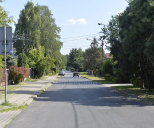 Poszukiwania węża