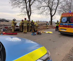 Wypadek pod Iławą. Mitsubishi roztrzaskało się na drzewie! Pięć osób rannych, w tym jedna walczy o życie