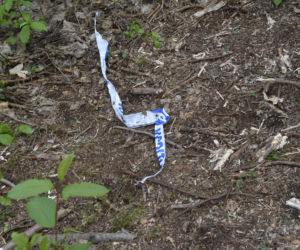 Z ziemi wystawała ludzka czaszka. Zmroziło ich, kiedy wykopali resztę!