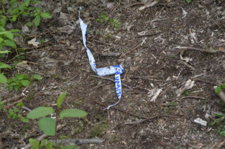 Z ziemi wystawała ludzka czaszka. Zmroziło ich, kiedy wykopali resztę!