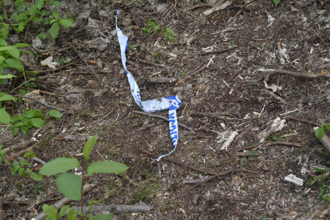 Z ziemi wystawała ludzka czaszka. Zmroziło ich, kiedy wykopali resztę!