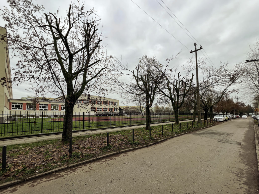 Drzewa na ulicy Socjalnej w Łodzi