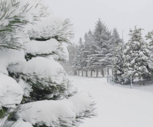 Atak zimy na wybrzeżu. Burze śnieżne, zasypane drogi i alerty IMGW