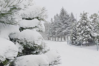 Zima w USA atakuje: stan wyjątkowy w 11 stanach