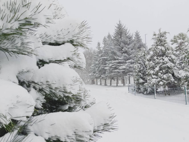Atak zimy na wybrzeżu. Burze śnieżne, zasypane drogi i alerty IMGW