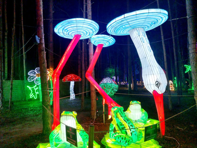 Lumina Park Bydgoszcz