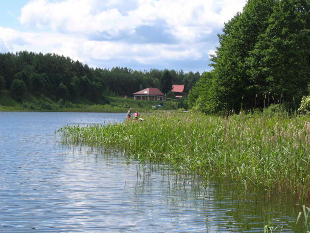 Zgniłocha
