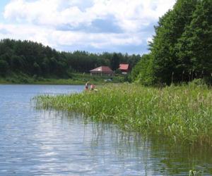 Zgniłocha