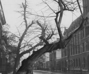 Bydgoszcz na starej fotografii