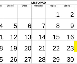 Niedziele handlowe 2019 - LISTOPAD