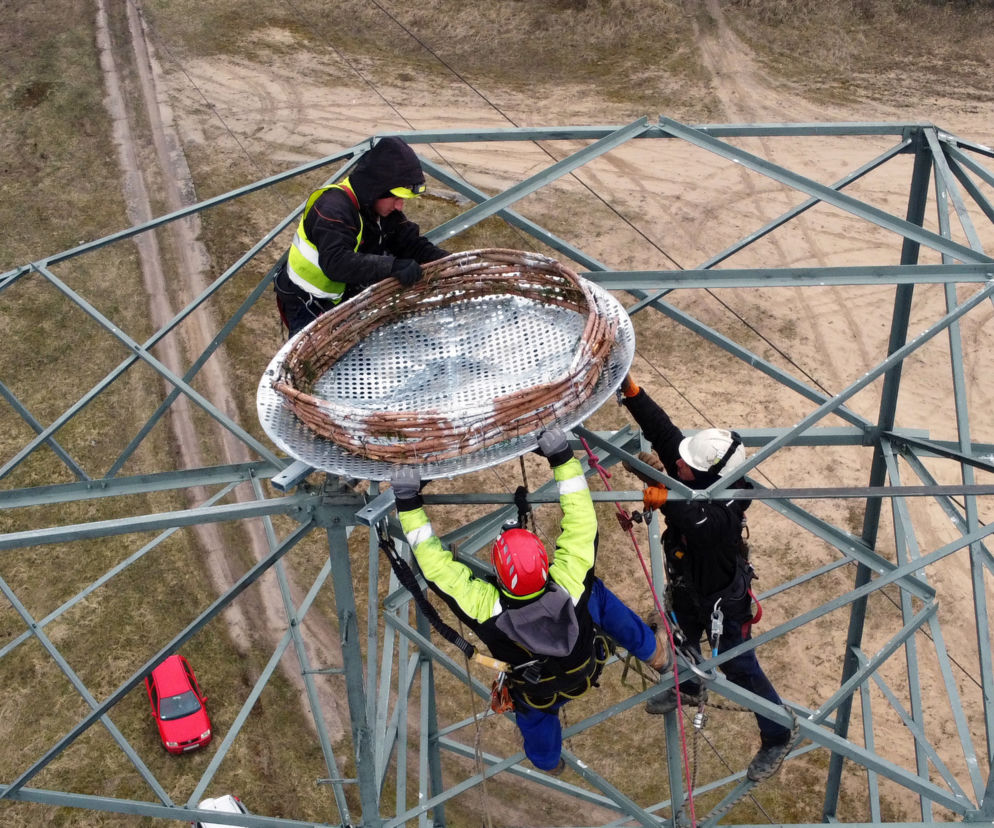 Montaż platformy lęgowej dla rybołowów w Nadleśnictwie Kliniska w okolicach miejscowości Inoujście 