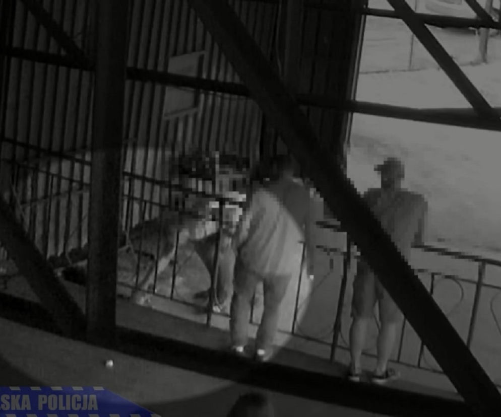 Małopolska. W bestialski sposób zabił kota. Drastyczne wideo