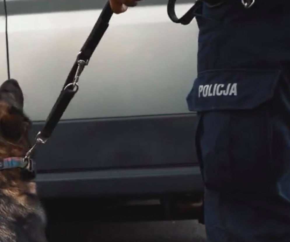Nie drażnij psa. Poradnik policji