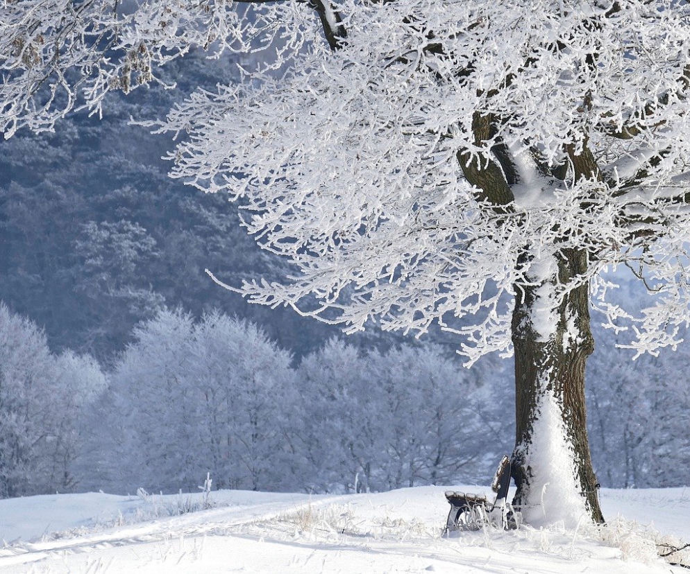  Zapowiada się mroźny weekend na Podkarpaciu. Nawet -19°C! Ostrzeżenie I stopnia