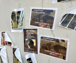 Zamieszanie w schronisku dla zwierząt w Bytomiu