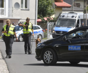 Do poszukiwań Dawidka zostały włączone specjalne psy niemieckiej policji