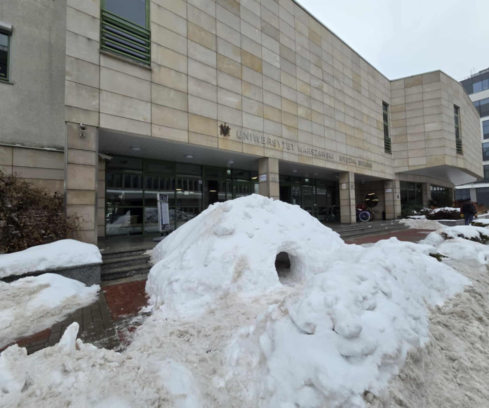 Zimowa mikrokawalerka powstała w Warszawie. Wyjątkowa atrakcja w stolicy