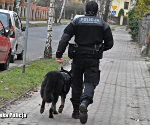 Drezdenko. 50-latek uratowany od okrutnej śmierci! Po kilkunastu godzinach wytropił go pies [ZDJĘCIA]