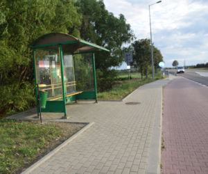 PROSZĘ PAPIEŻA O PRZYSTANEK.