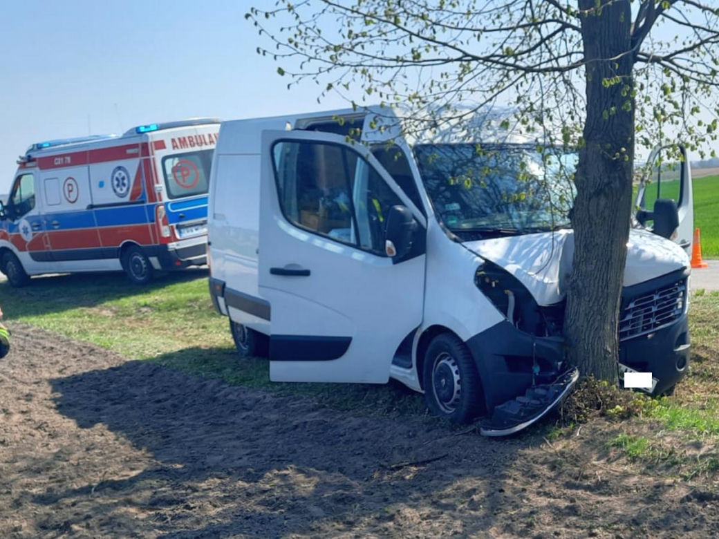 Kujawsko-pomorskie: Chciał ominąć stado dzików i uderzył w drzewo! Trafił do szpitala [ZDJĘCIA] 