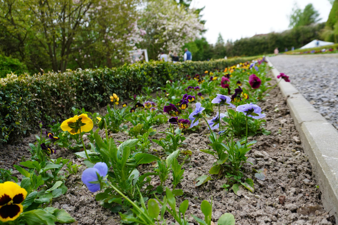 Ogród Botaniczny w Lublinie