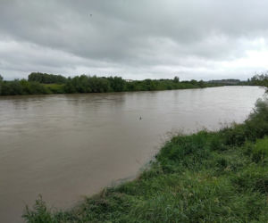 Wysoki Dunajec pod Tarnowem! Biała przy Azotach też przybiera