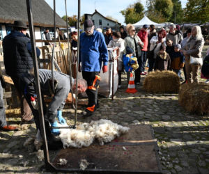 IV Jamneńskie Zakończenie Sezonu Pasterskiego