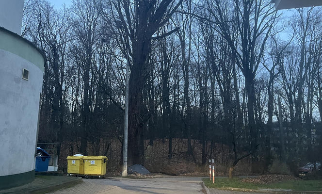 Puławy: 18-latek i jego kolega zaatakowali dwóch mężczyzn. Trafili do aresztu