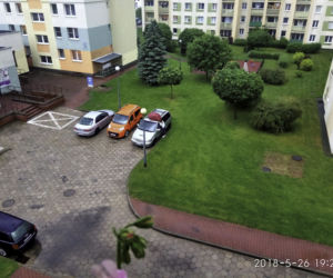 NAJLEPSZA SĄSIADKA POD SŁOŃCEM