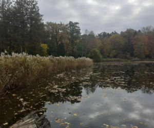 Jesienny spacer po parku zamkowym w Krasiczynie
