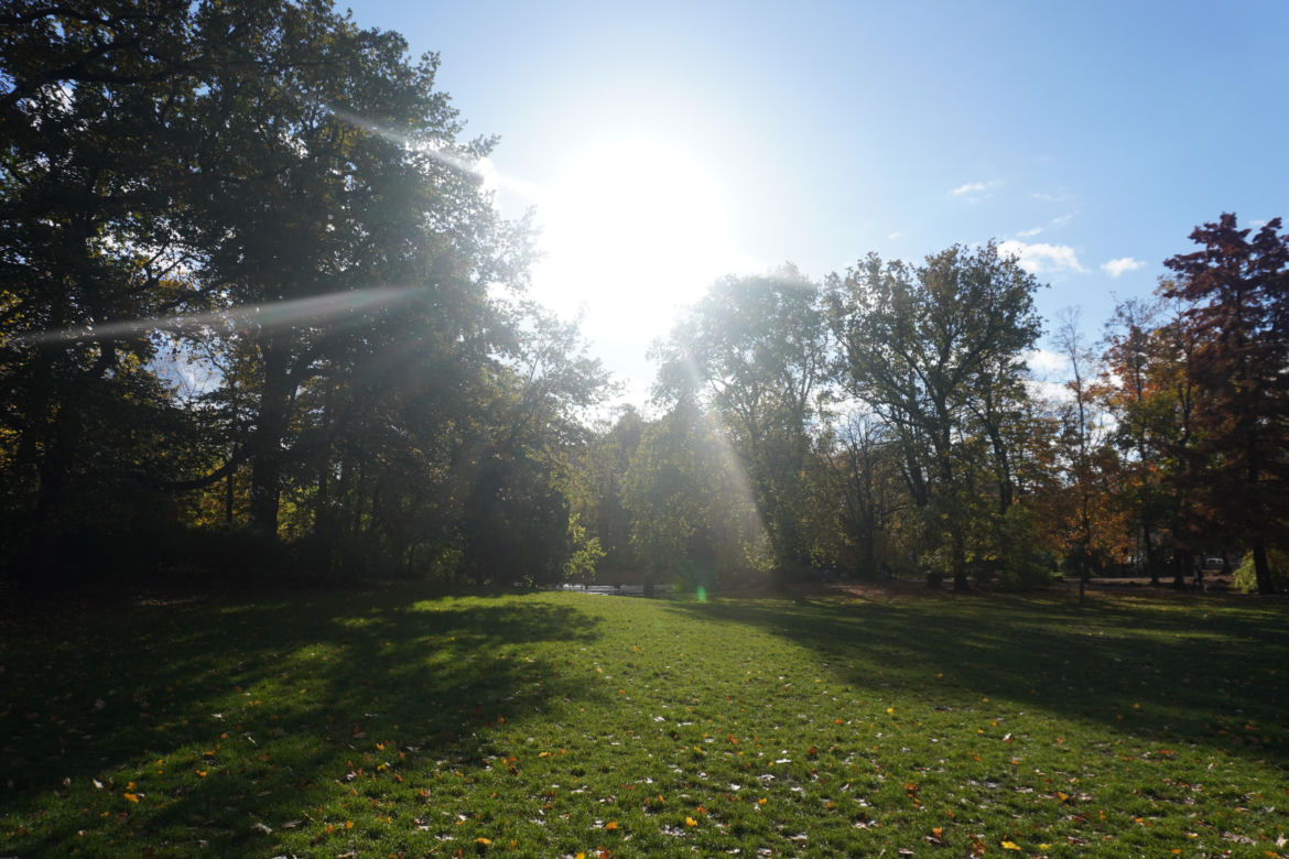 Park Wilsona jesienią