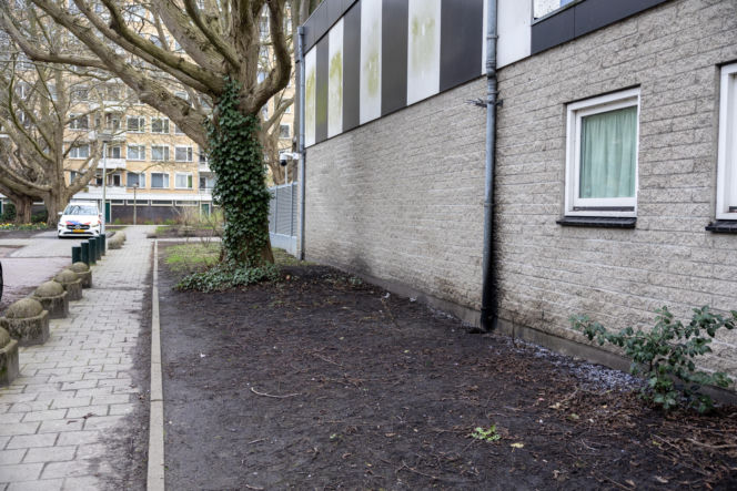 Wybuch w pobliżu szkoły żydowskiej