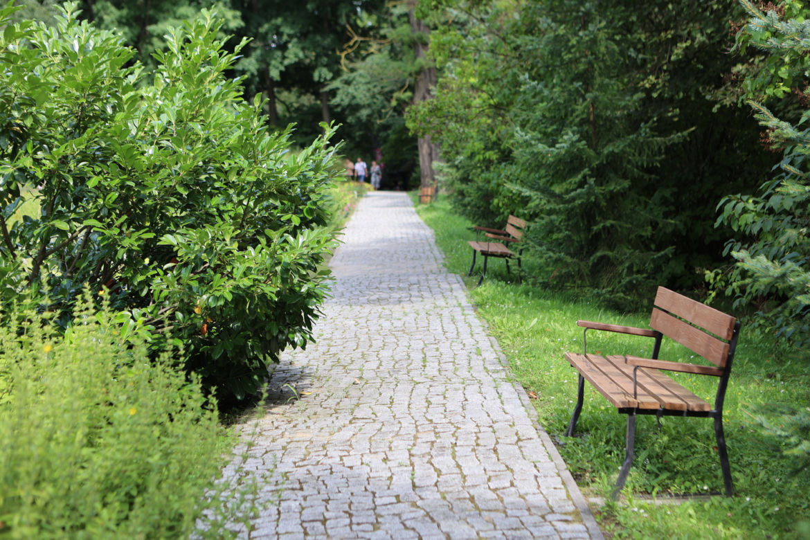 Kwitnący Ogród Botaniczny UMCS w Lublinie