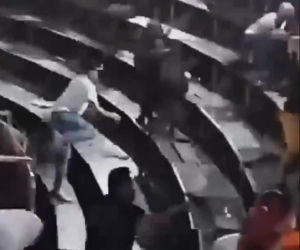 Szok na festiwalu! Byk wskoczył na widownię. Mocne wideo