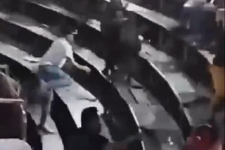 Szok na festiwalu! Byk wskoczył na widownię. Mocne wideo
