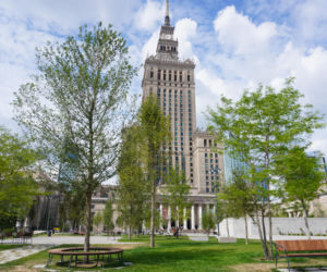 Pałac Kultury i Nauki w Warszawie