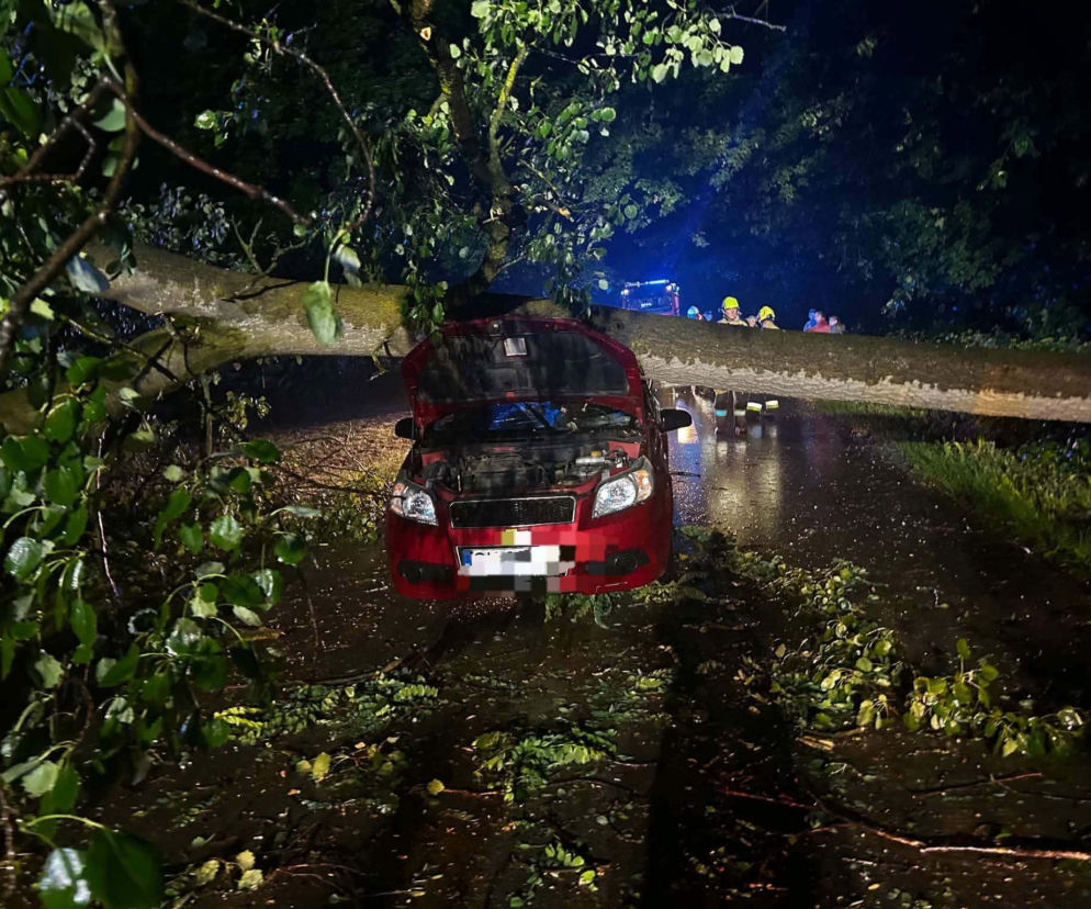 W powiecie pińczowskim drzewo spadło na samochód