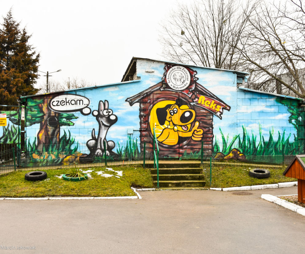 Zmiany w białostockim schronisku